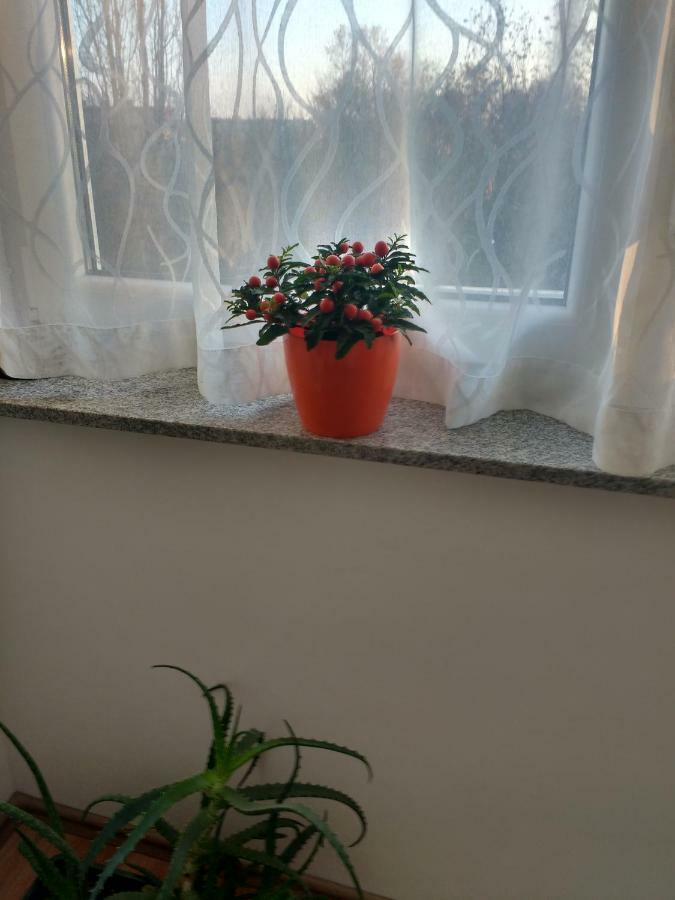 Meridian Apartment , 300M To Bus Terminal, Fast Wifi & Airport Transf 萨格勒布 外观 照片